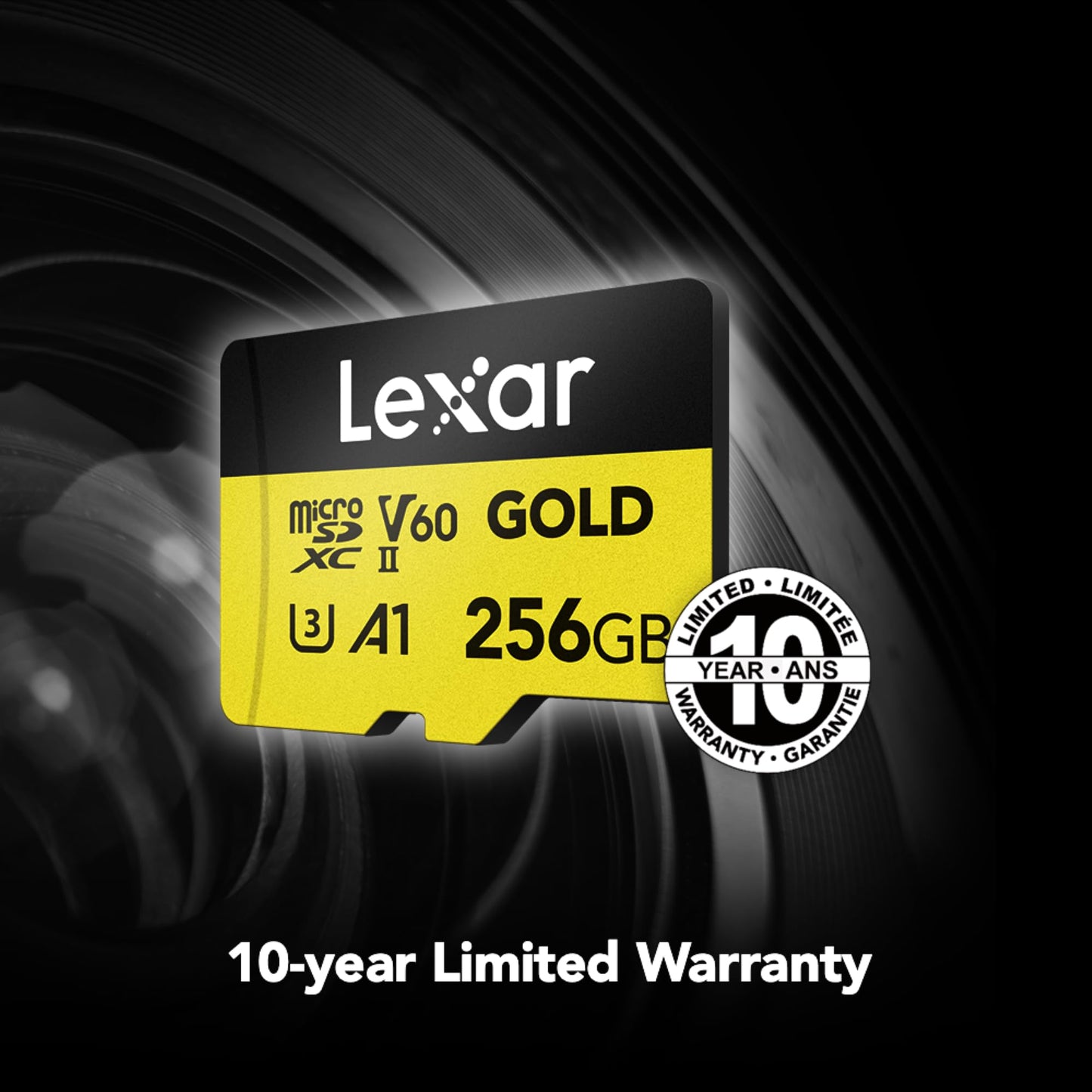 Lexar 256GB UHS-II Micro SD Card for 4K