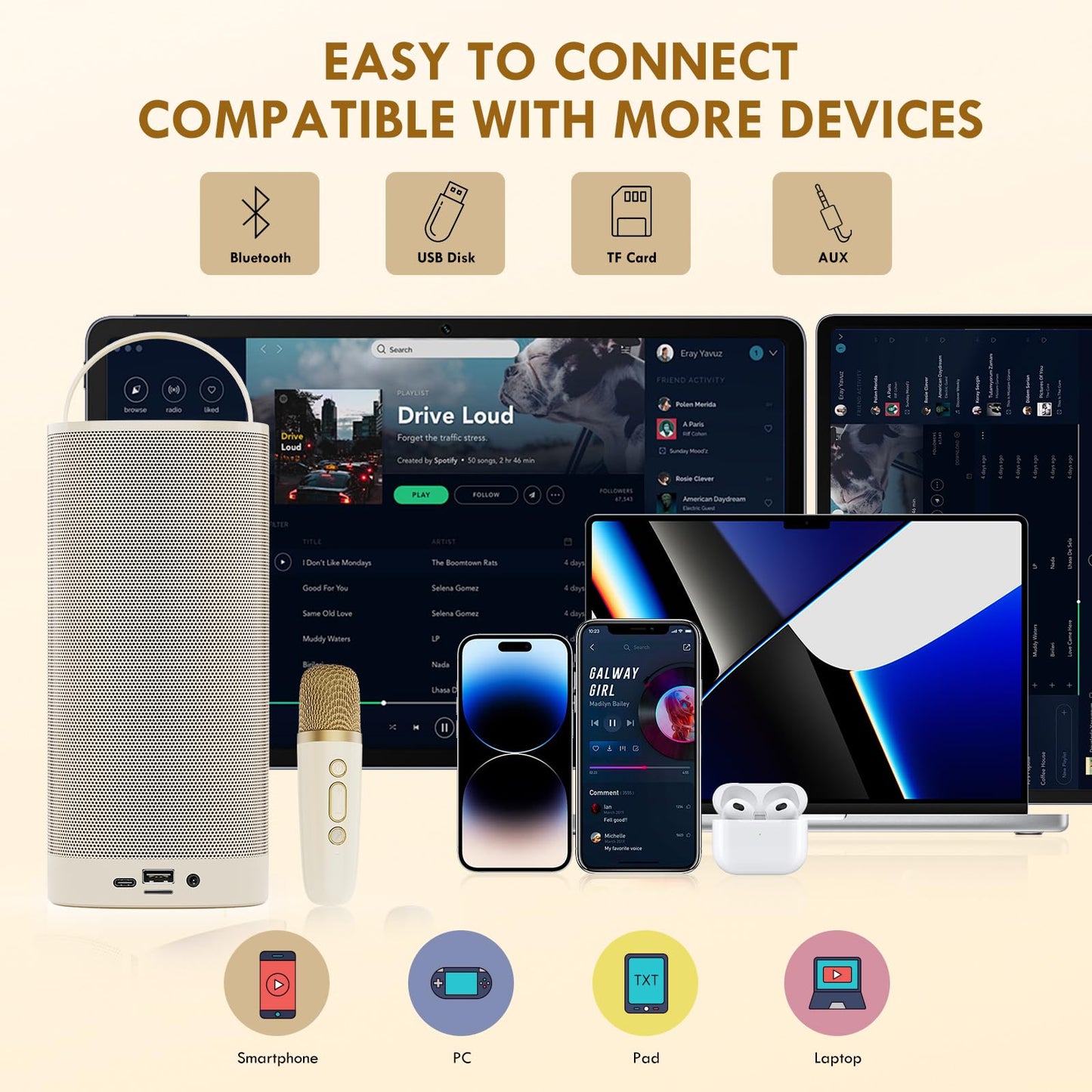 HWWR Karaoke Machine with Wireless Microphones