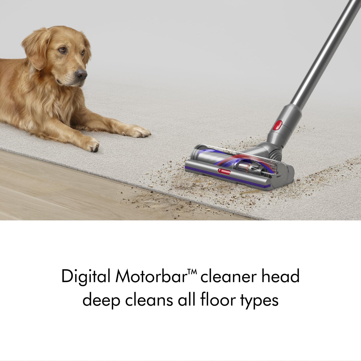 Dyson V15 Detect Plus Cordless Vacuum Cleaner