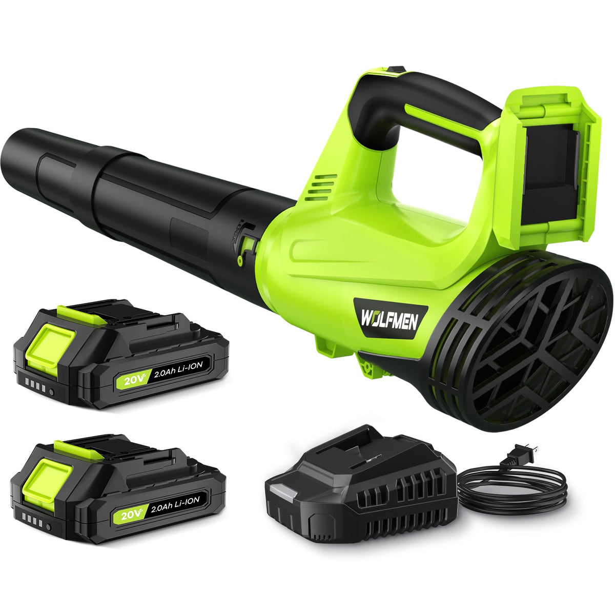 Cordless Leaf Blower with 2 Batteries and Charger