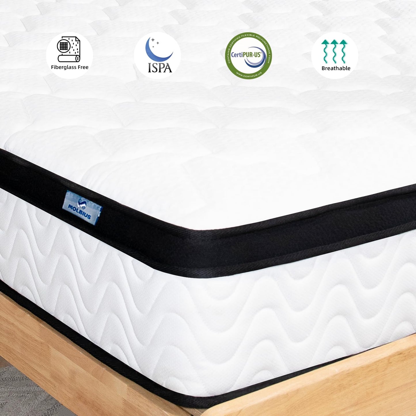 10 Inch Hybrid Full Mattress by MOLBIUS