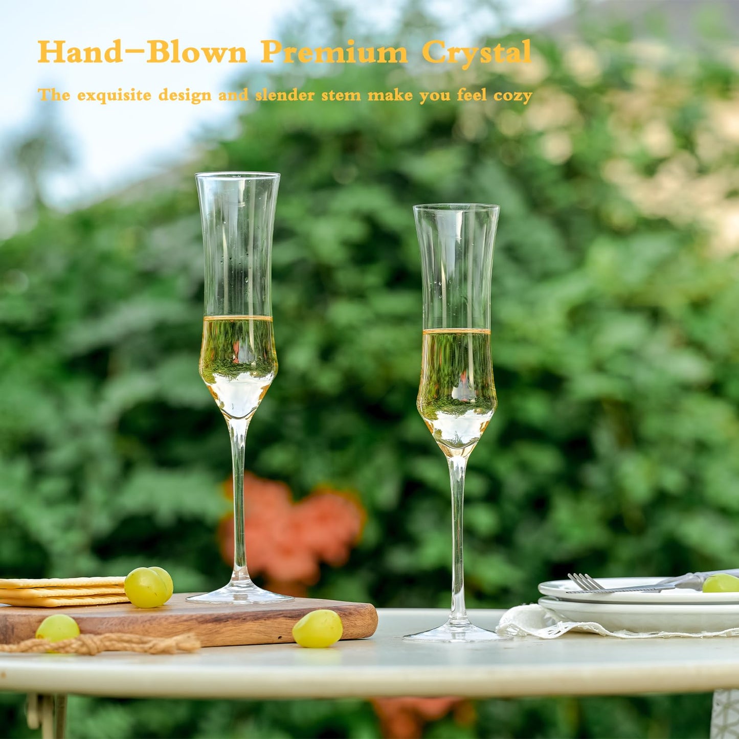 Champagne Flutes Set of 6 by BACLIFE