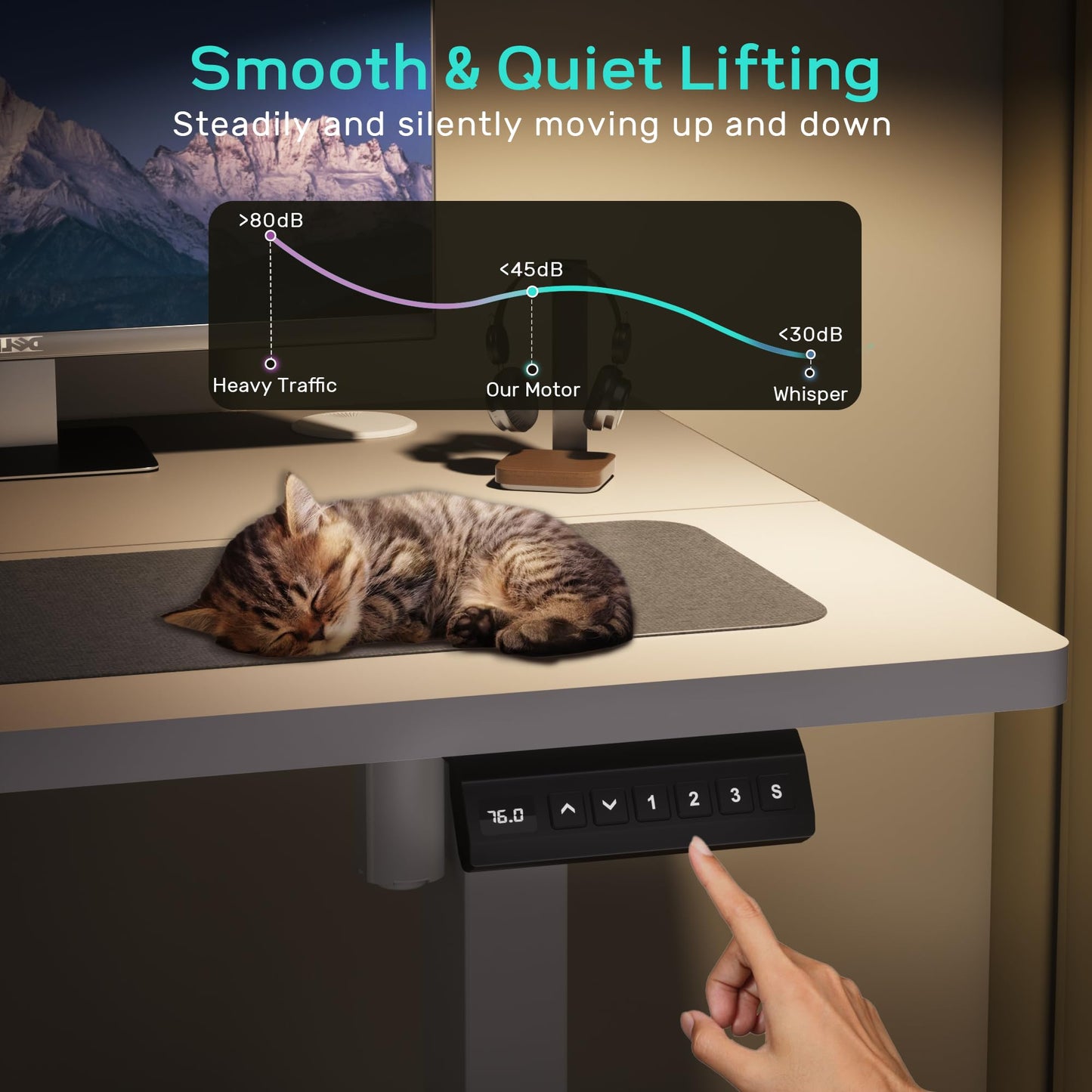 GallopFun Adjustable Height Electric Standing Desk