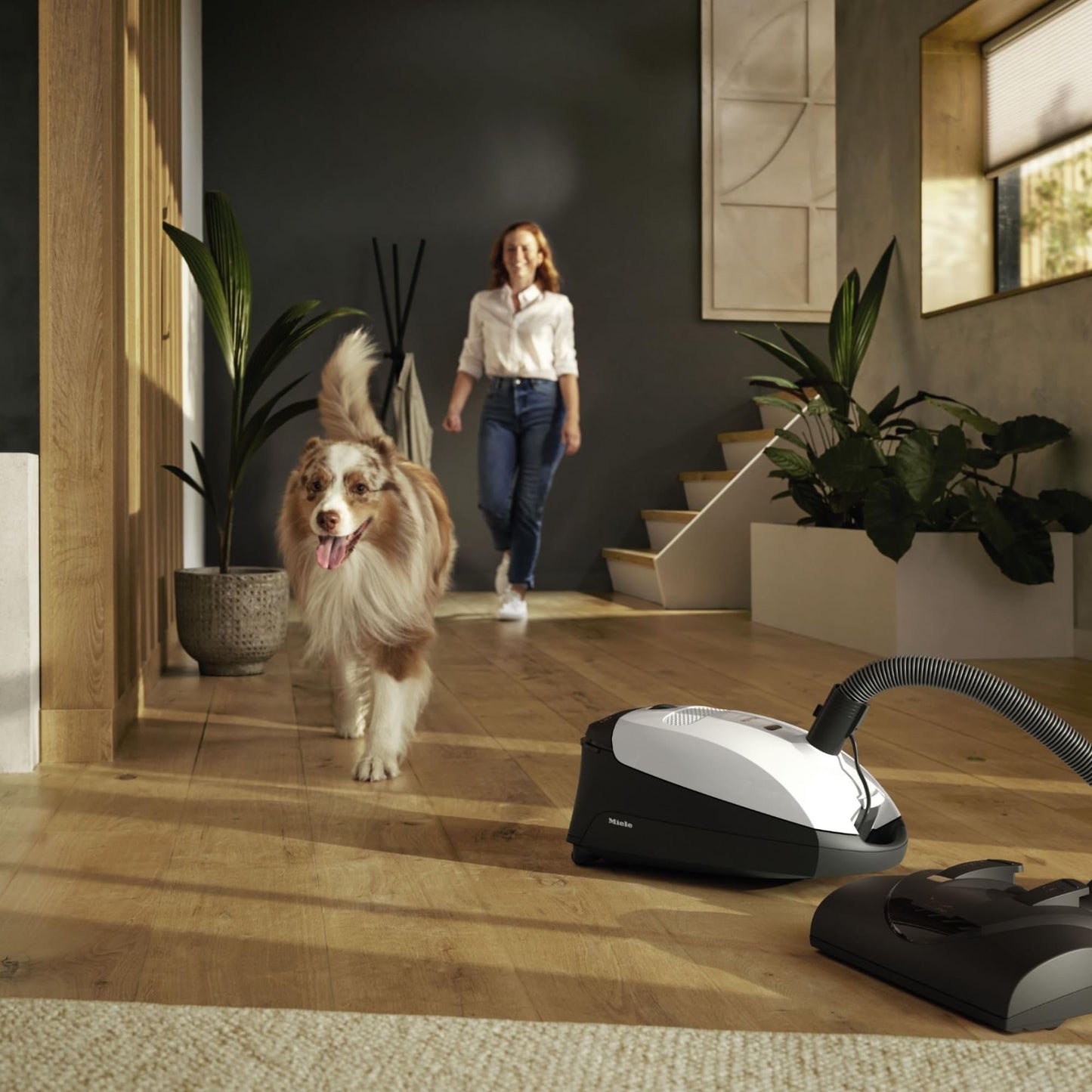 Miele Cat & Dog Bagged Canister Vacuum