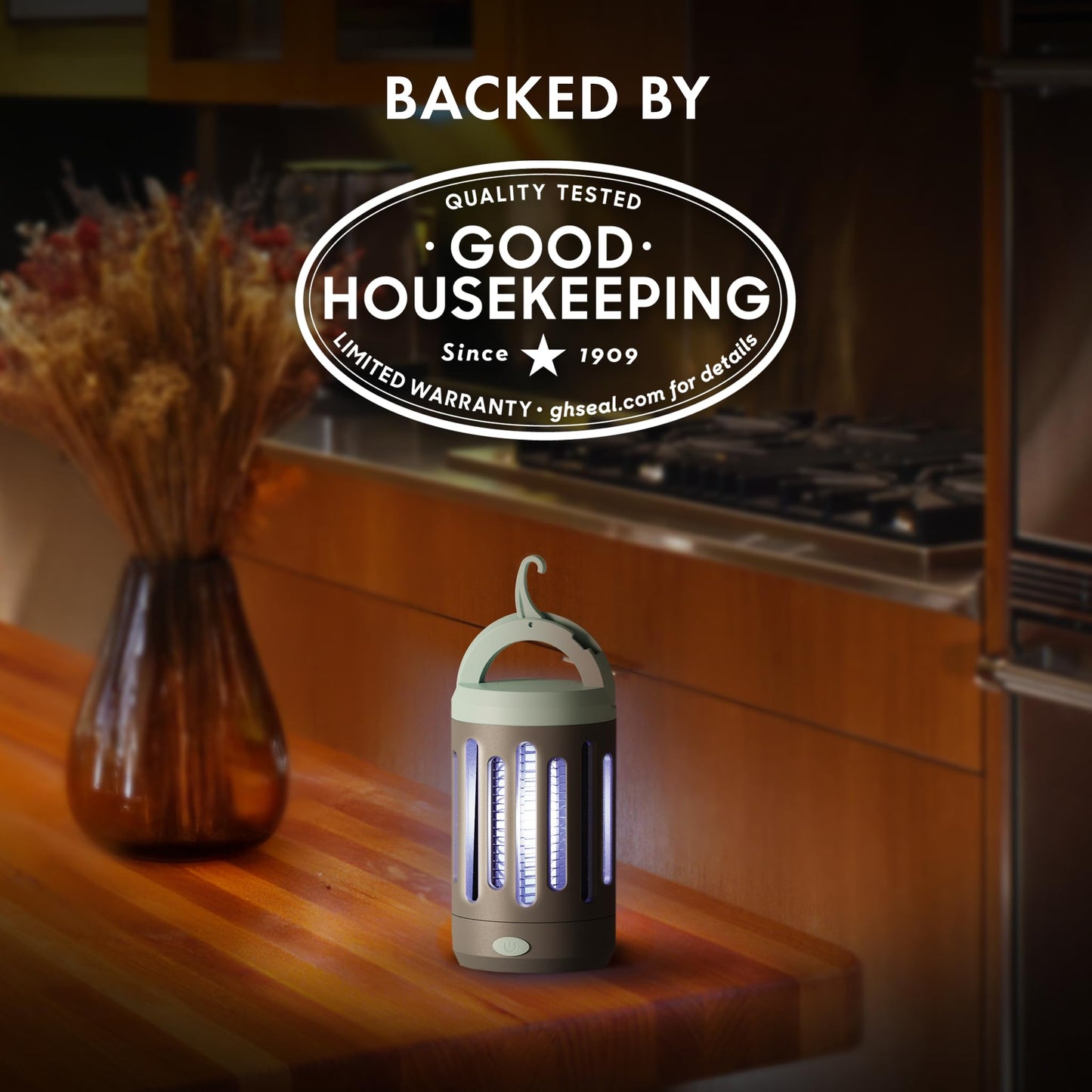 Electric Fly & Mosquito Trap with USB Charger