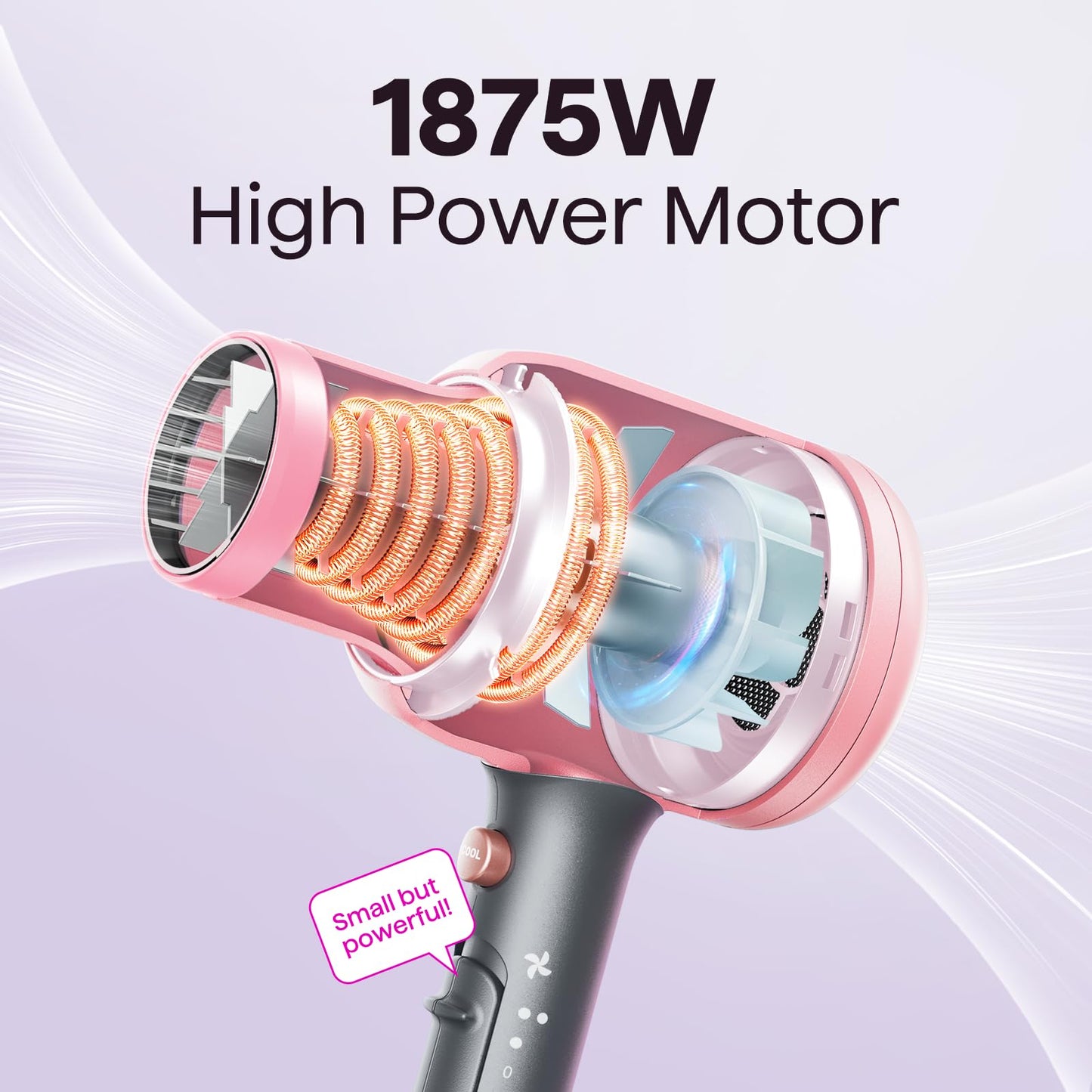 Ionic Hair Dryer with Diffuser for Curly Hair