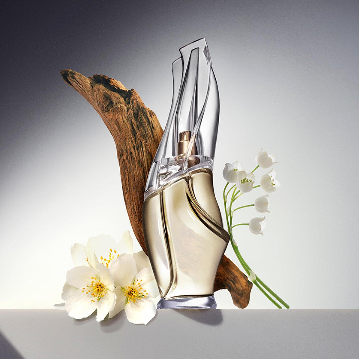 Donna Karan Cashmere Mist Eau de Toilette Set