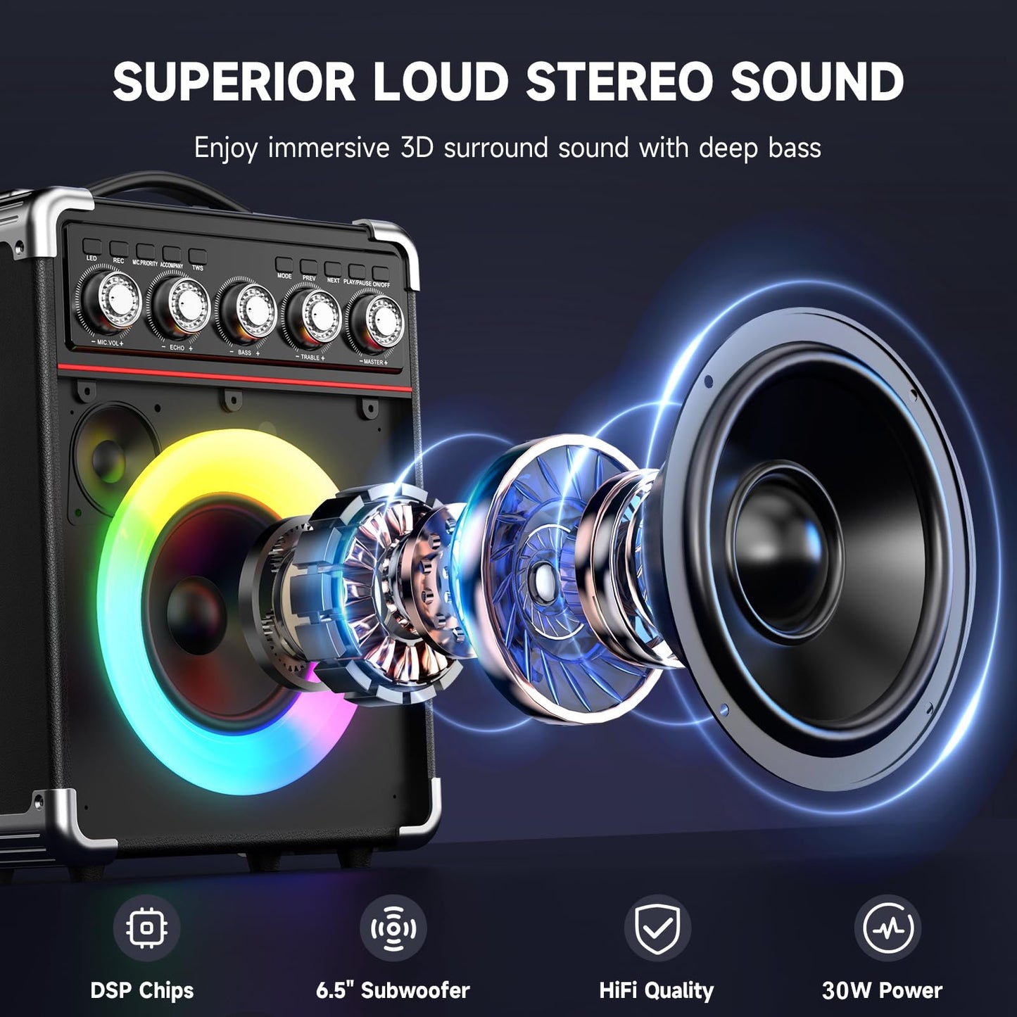 Karaoke Machine with 2 Microphones by HWWR