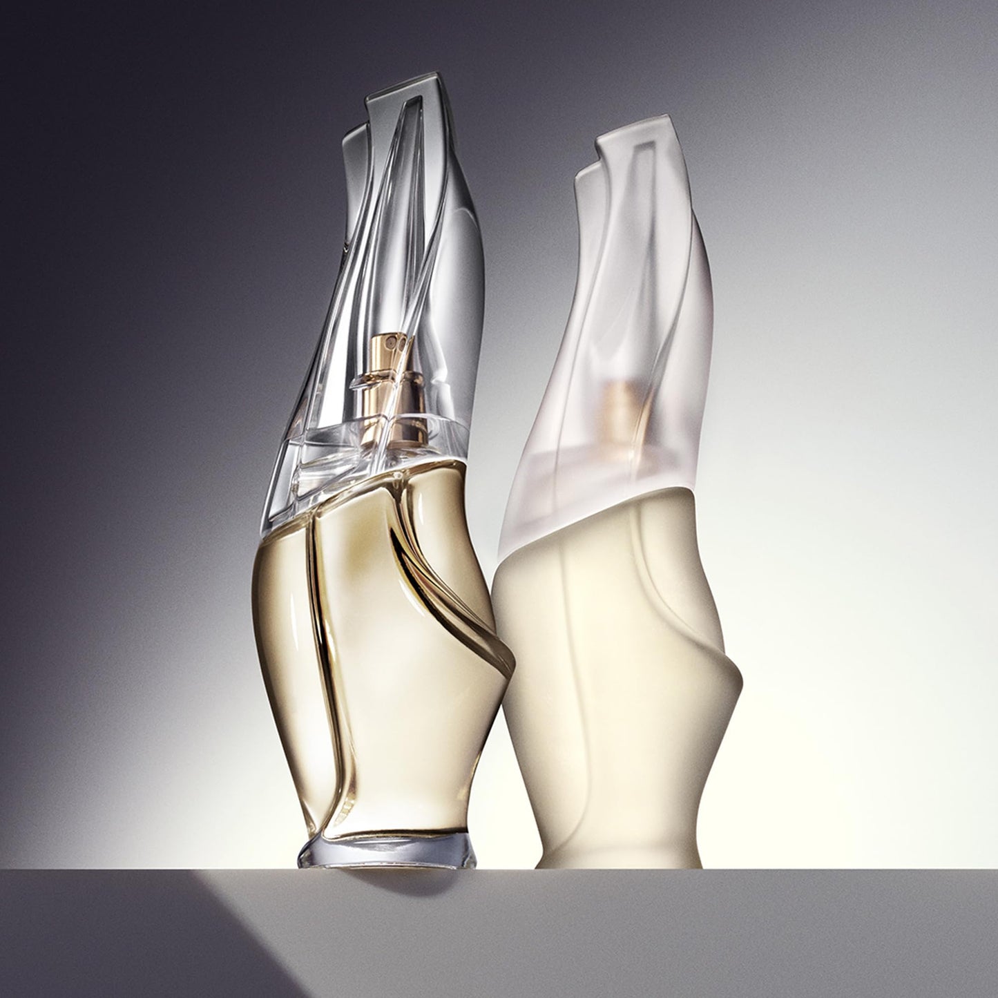 Donna Karan Cashmere Mist Eau de Toilette Set