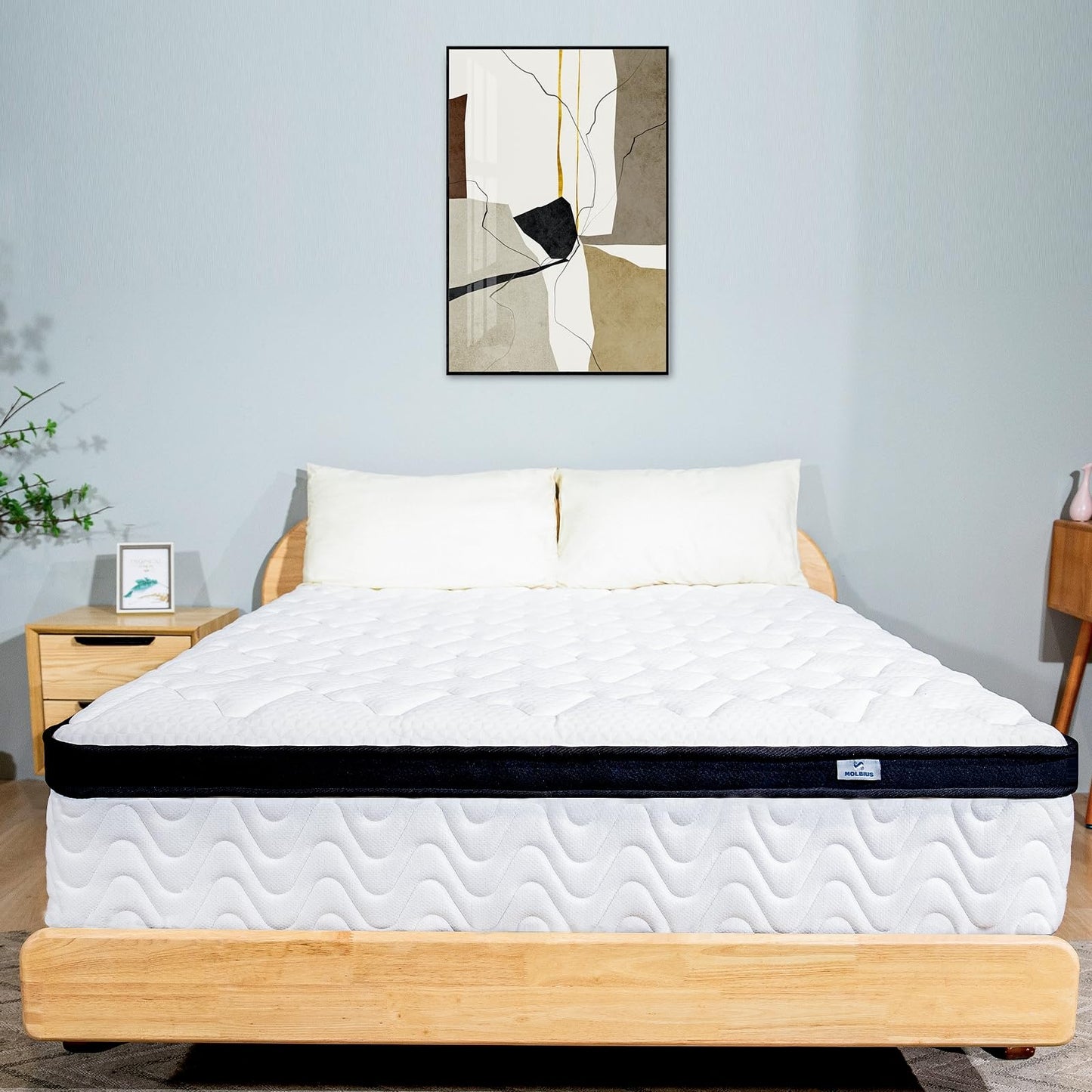 10 Inch Hybrid Full Mattress by MOLBIUS