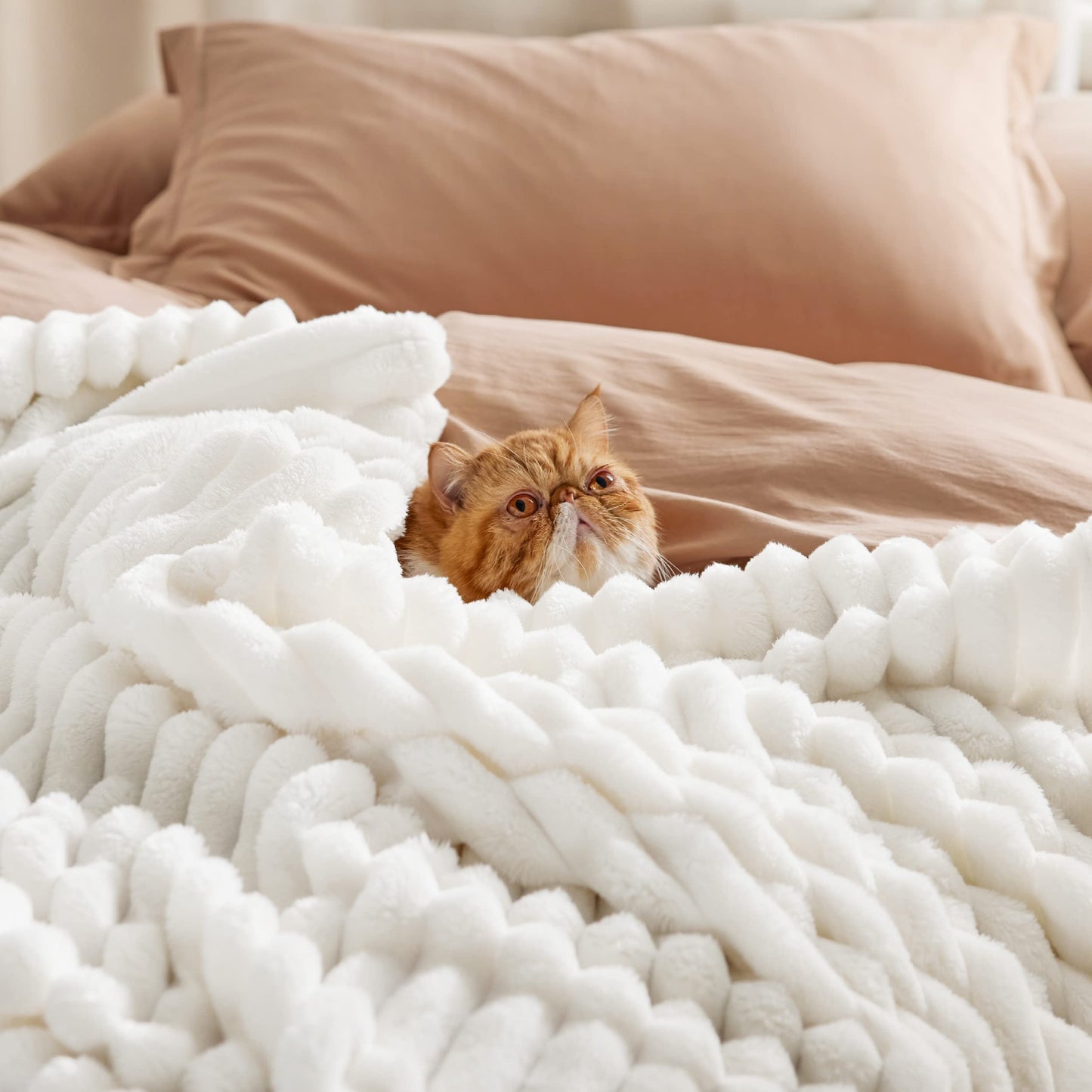 Bedsure Cozy White Throw Blanket for Couch