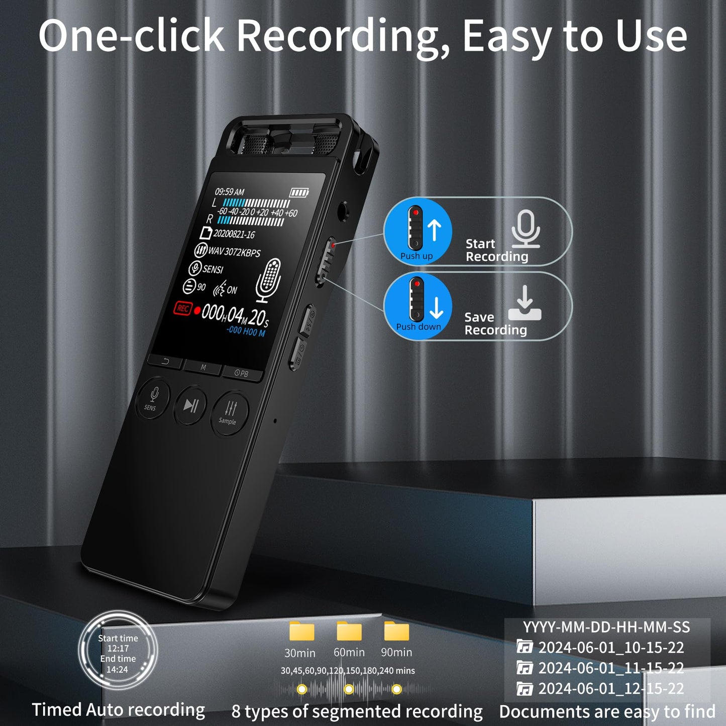 80GB Portable Voice Recorder with Dual Mic