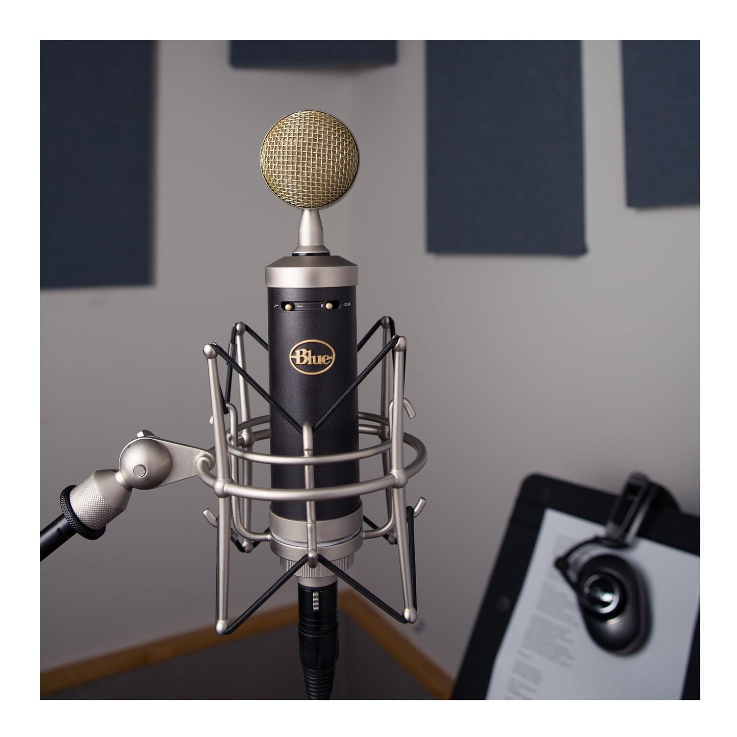 Blue Microphone Baby Bottle XLRCardioid Condenser Microphone for Recording, Streaming, Podcasting, Gaming, Mic with Large Diaphragm Cardioid Capsule, Shockmount & Protective Case
