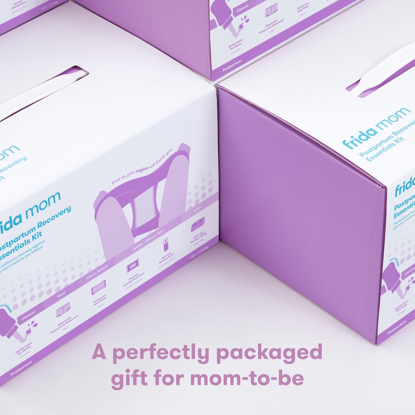 Frida Mom Postpartum Essentials Kit for New Moms