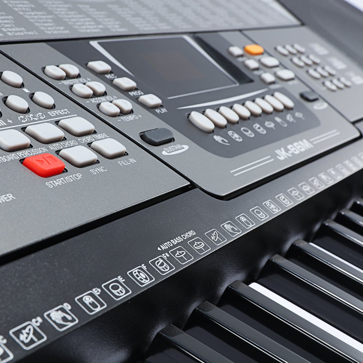 61-Key Music Keyboard Kit with Headphone and Stand