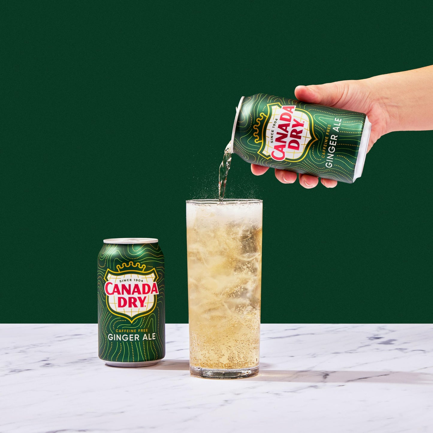 Canada Dry Ginger Ale, 12 Pack Cans