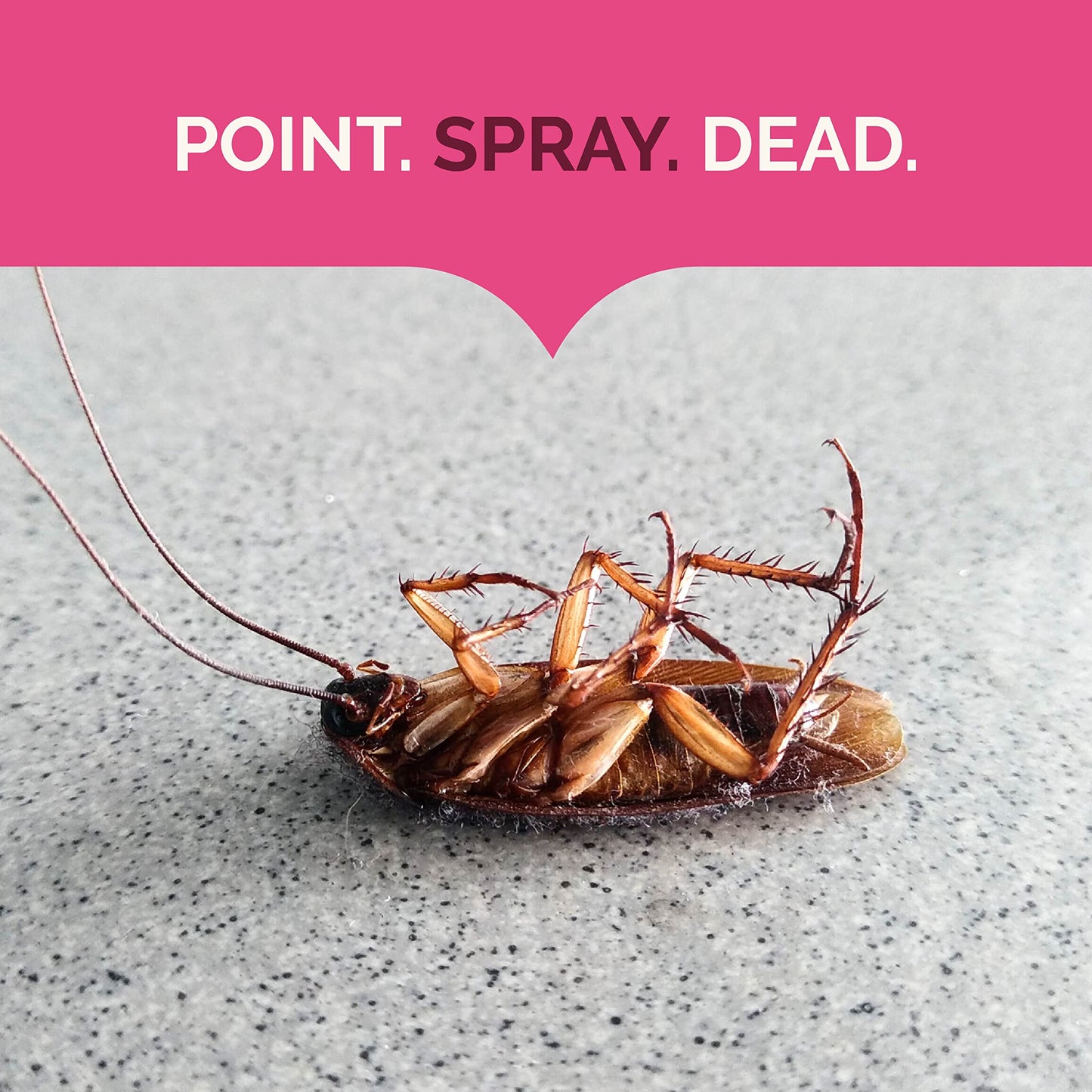 HOT SHOT Ant, Roach & Spider Killer Spray
