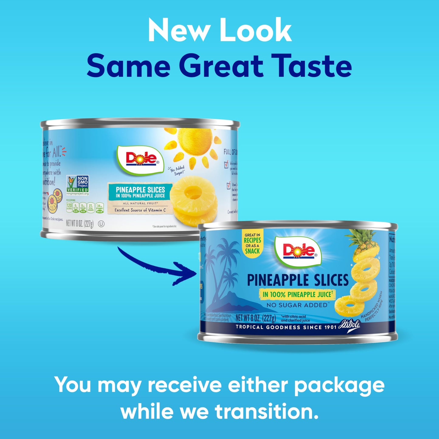 Dole Pineapple Slices in 100% Juice - 12 Pack