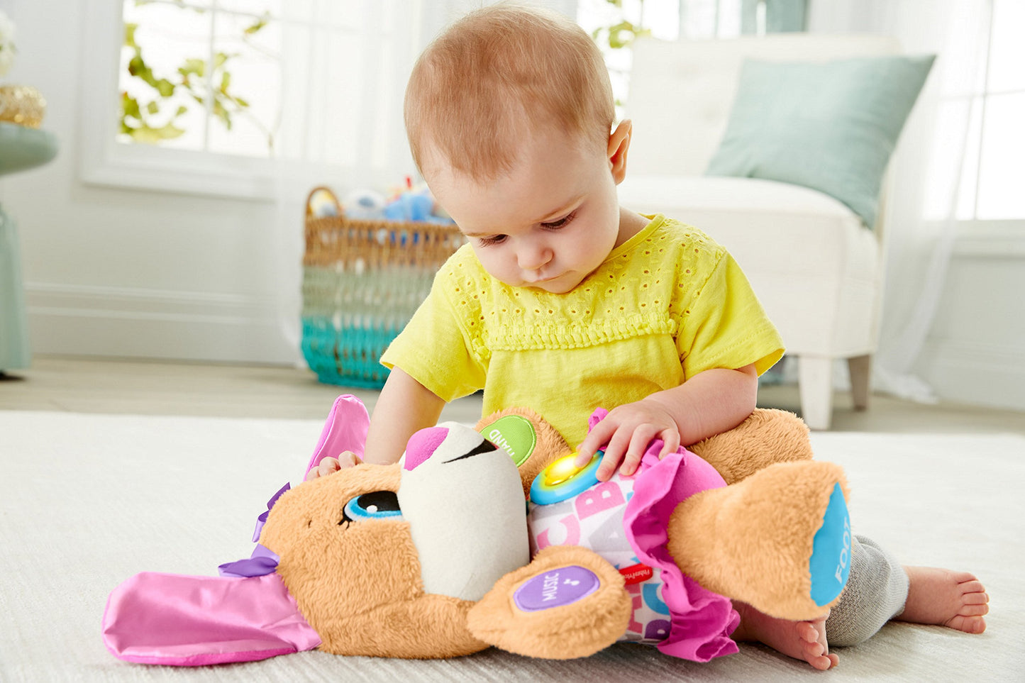 Fisher-Price Laugh & Learn Plush Musical Toy