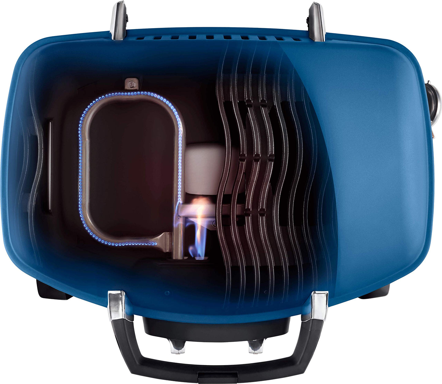 Napoleon Portable Propane Gas Grill for Camping