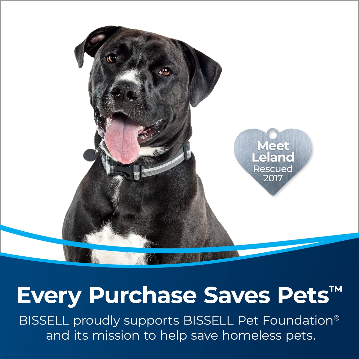 Bissell Pet Vacuum with HEPA Filter & Lift-Off