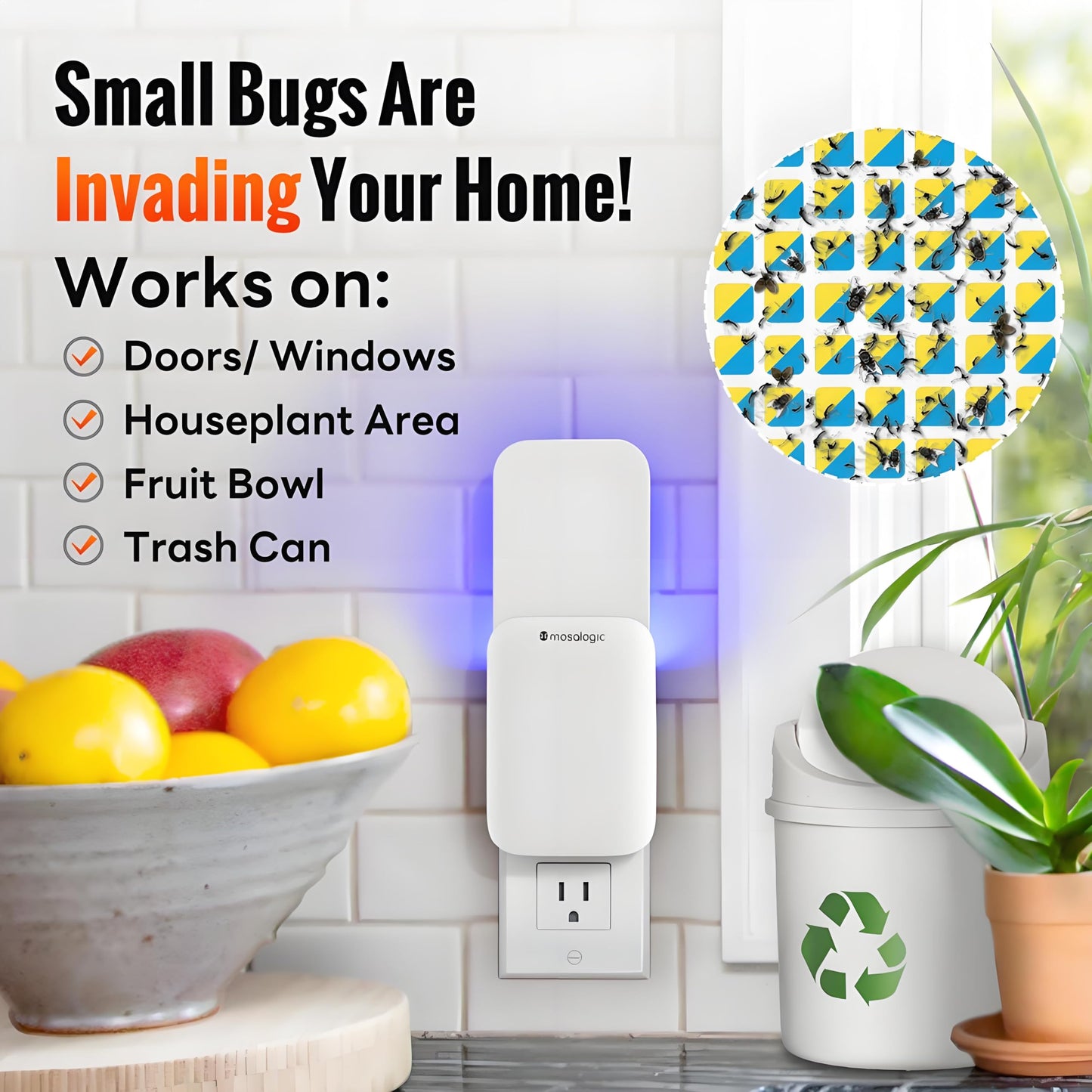 Indoor Fruit Fly Trap for Mosquitoes & Gnats