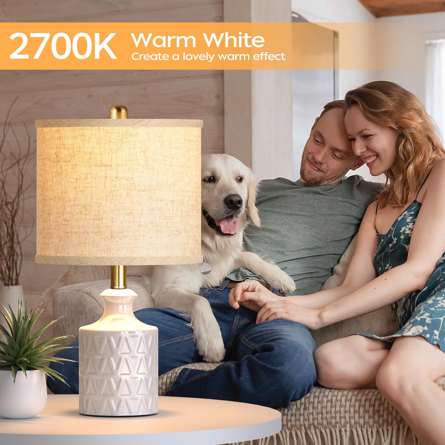 Ceramic Table Lamp Set of 2 with LED Bulbs