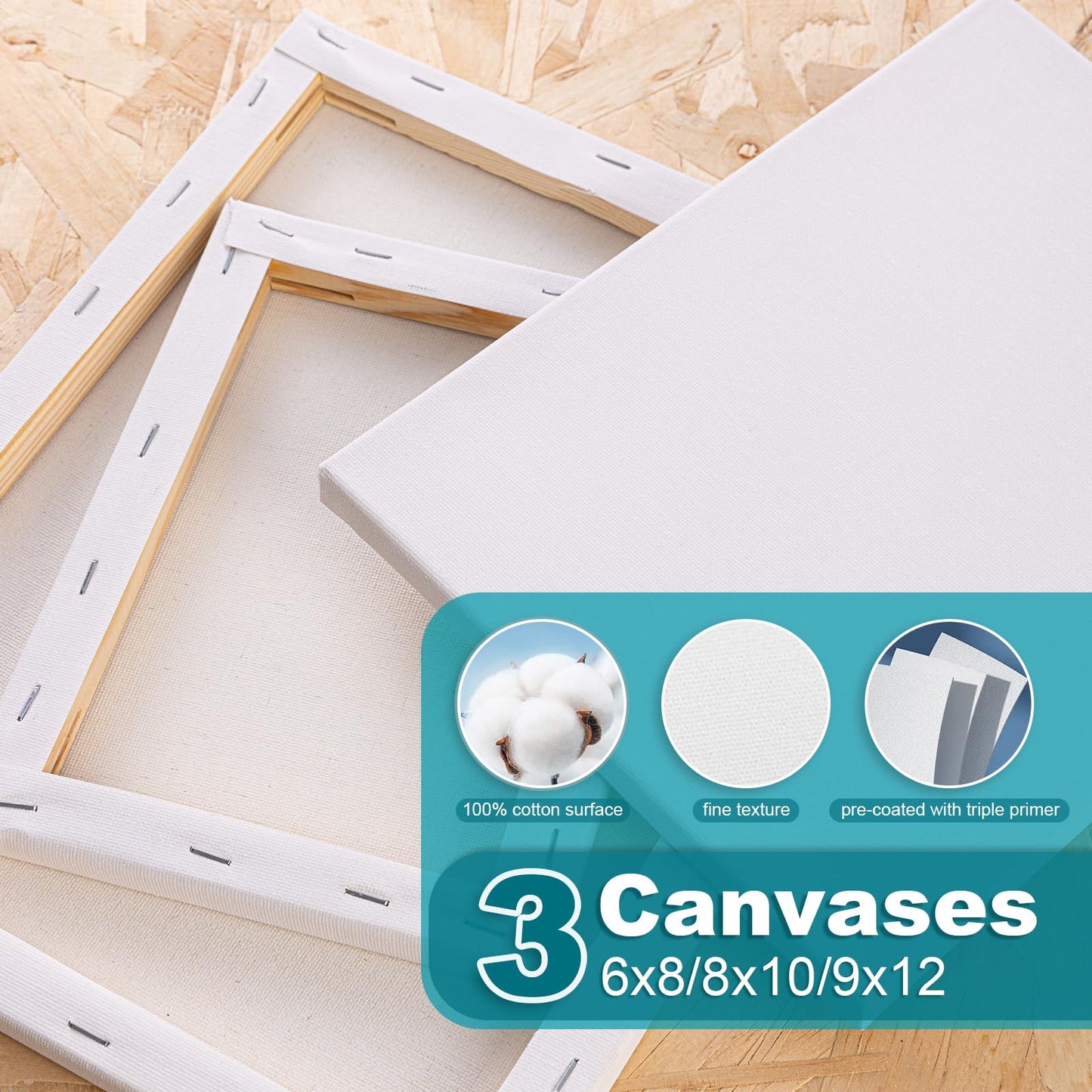 Acrylic Paint Set with Canvases and Brushes