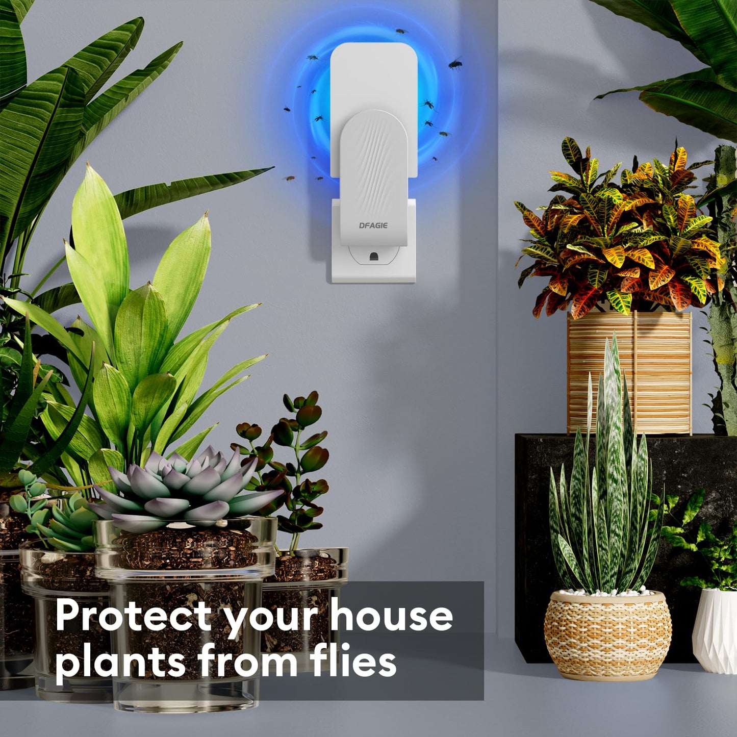 Flying Insect Trap, Mosquito Trap, Fruit Fly Traps for Indoors, 1 Device + 5 Glue Cards, Fly Traps Indoor for Home, Kitchen, Bedroom, Plant Area and Garage