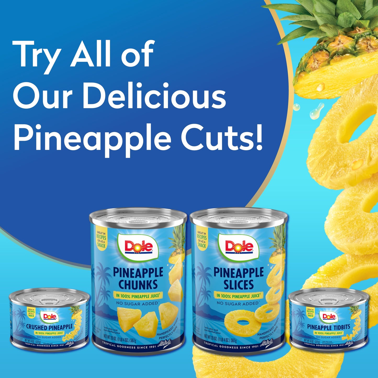 Dole Pineapple Slices in 100% Juice - 12 Pack