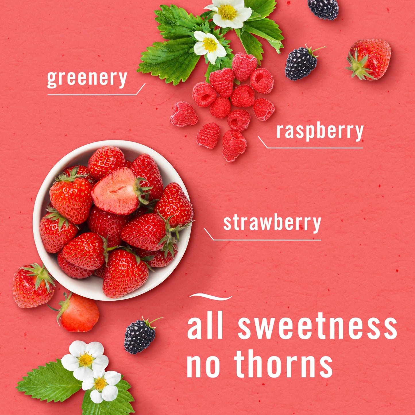 Febreze Berry & Bramble Air Freshener Spray 8.8oz
