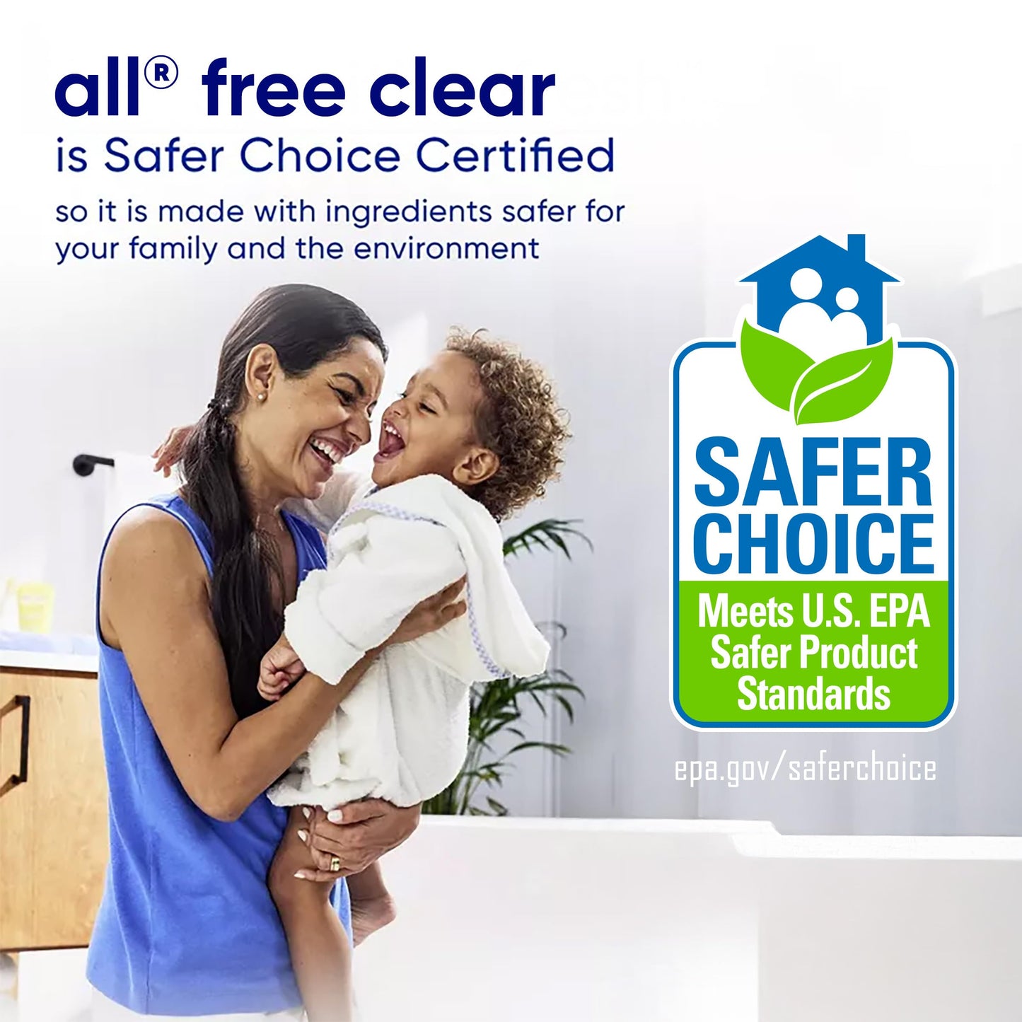 82.5oz all Free Clear Liquid Laundry Detergent