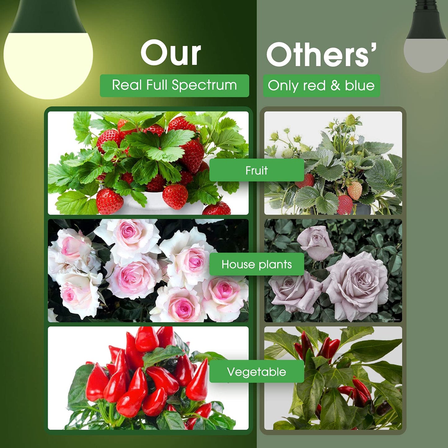 Briignite Full Spectrum LED Grow Light Bulbs