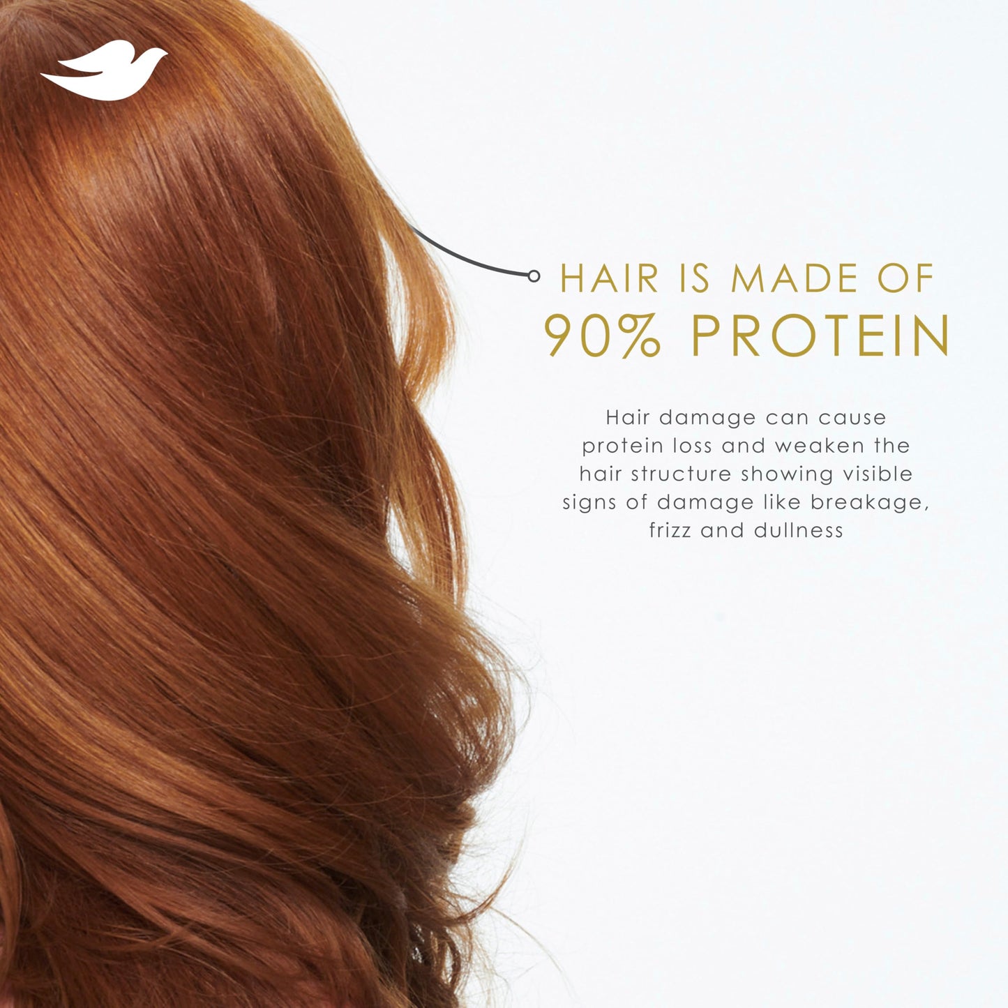 Dove Intensive Repair Shampoo for Damaged Hair