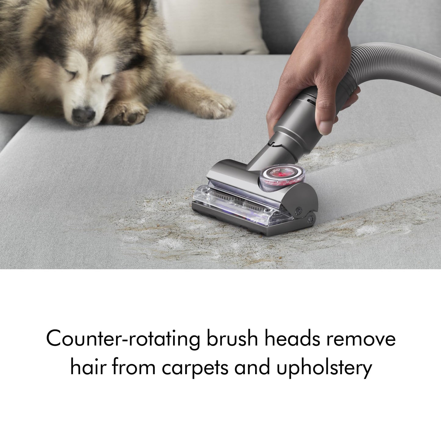 Dyson Ball Animal Total Clean Upright Vacuum