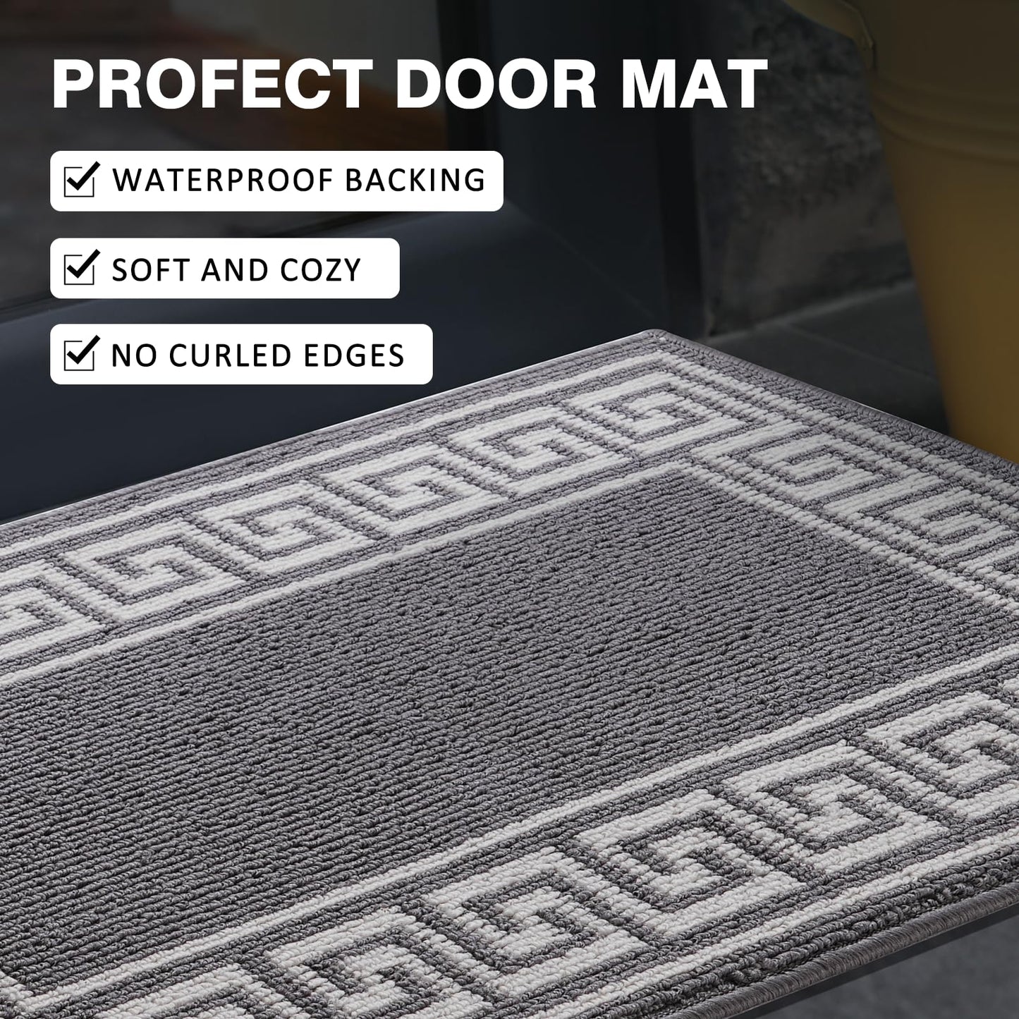 Syalife Door Mat Indoor Doormat, Non-Slip Resist Dirt Entryway Rug Entrance Mat, Dog Door Mat, Super Absorbent Welcome mat for Muddy Wet Shoes and Paws, 24"x35", Grey 03