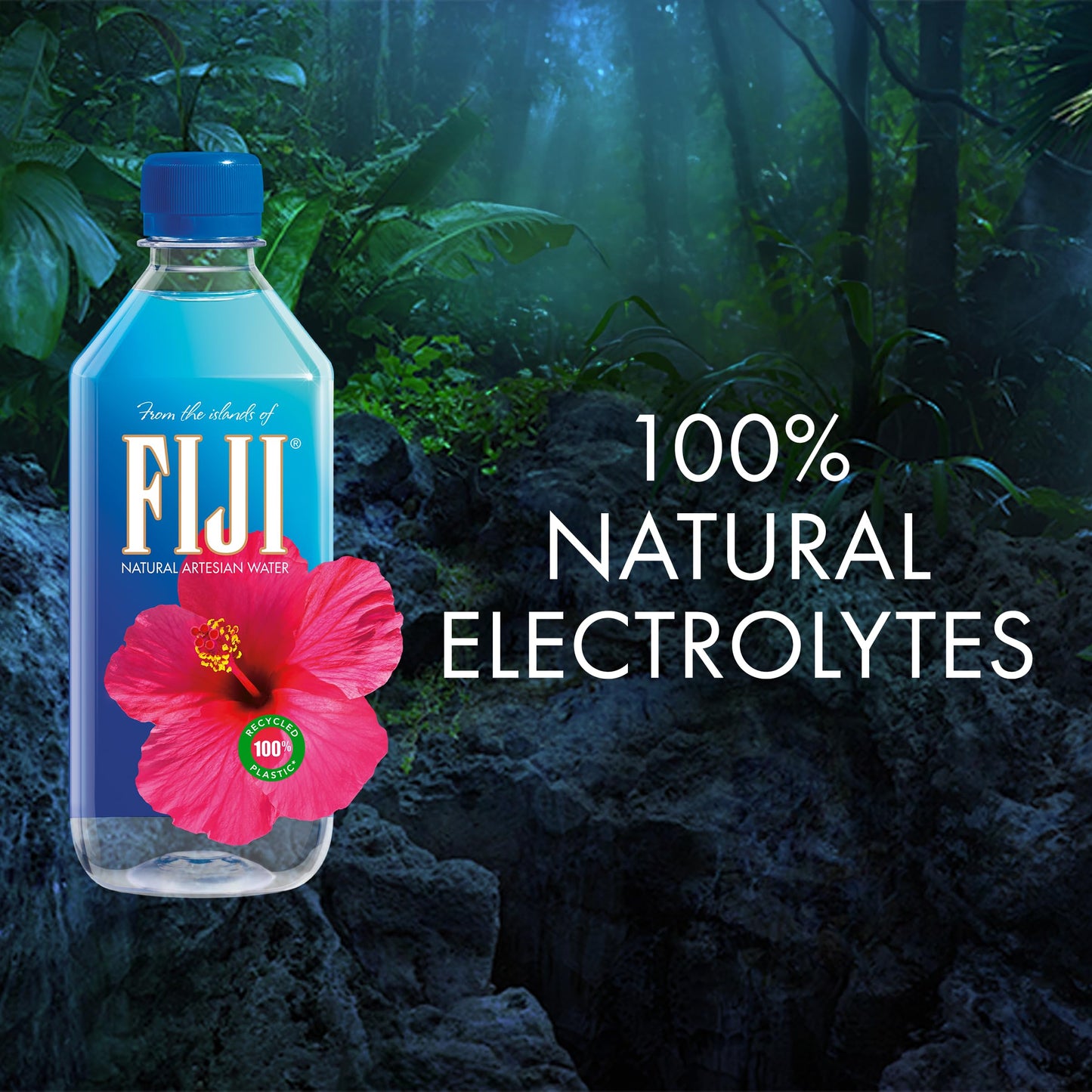 24 Pack FIJI Natural Artesian Water 500mL