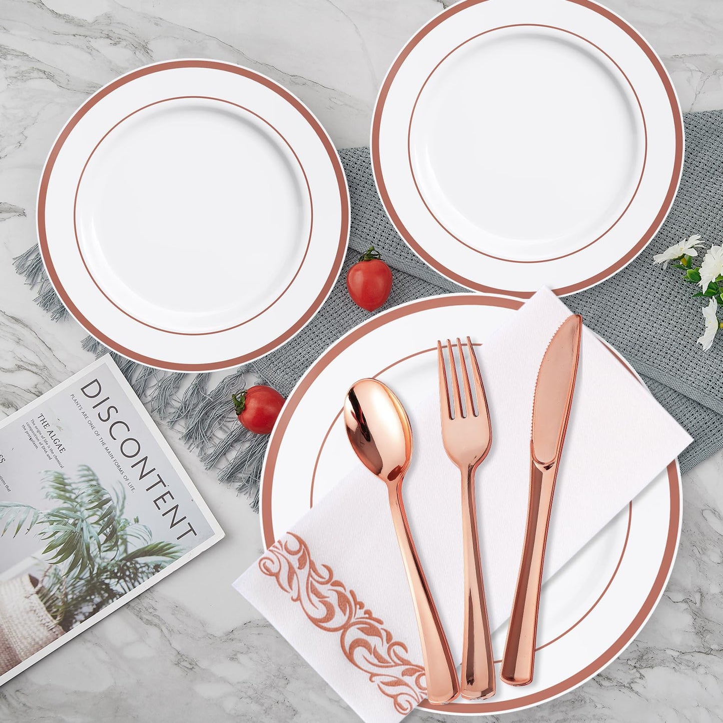 700 Count Disposable Dinnerware Set by JOLLY CHEF