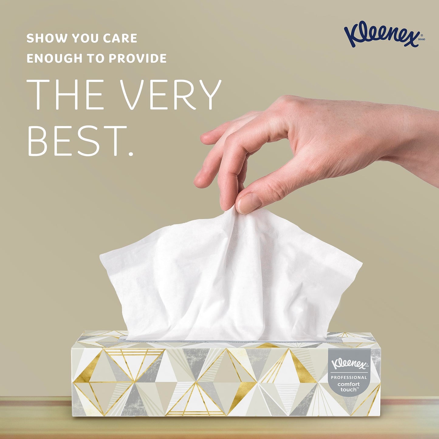Kleenex Professional 2-Ply Facial Tissue Bulk Box