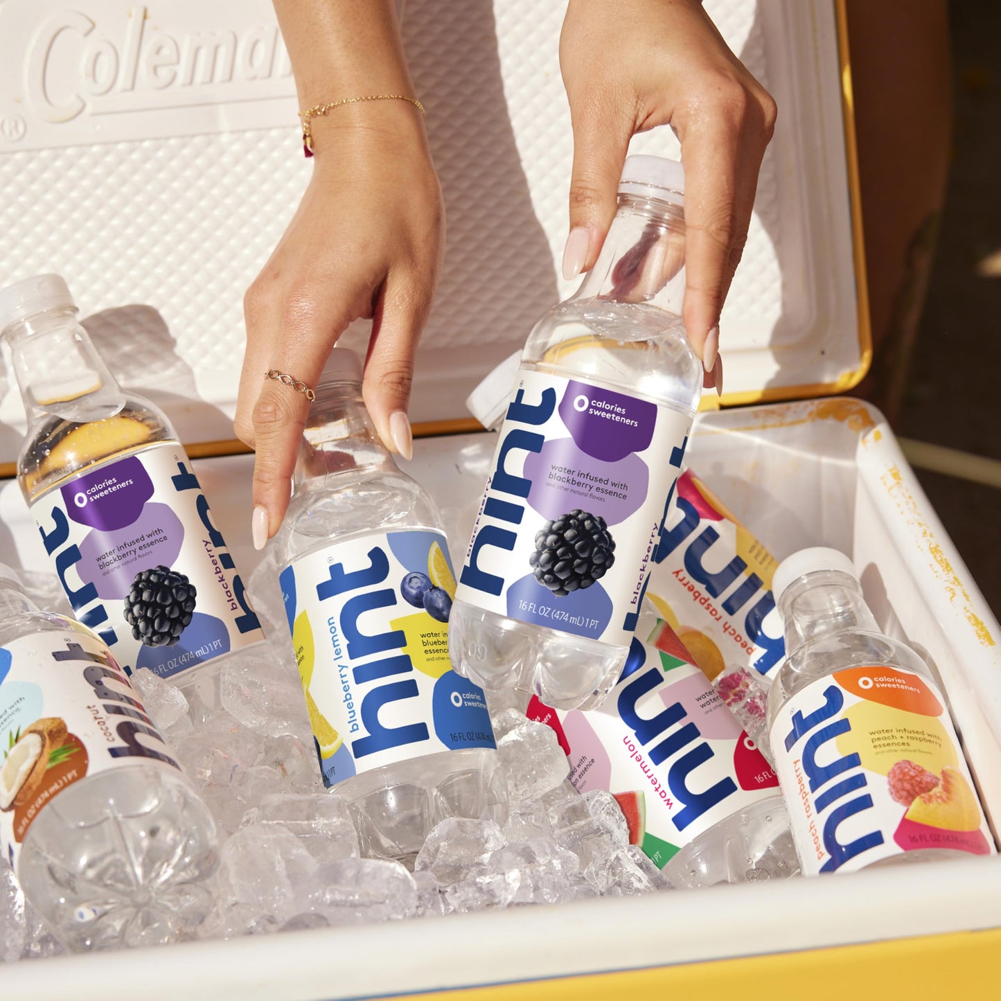 12 Pack Hint Water Best Sellers Variety