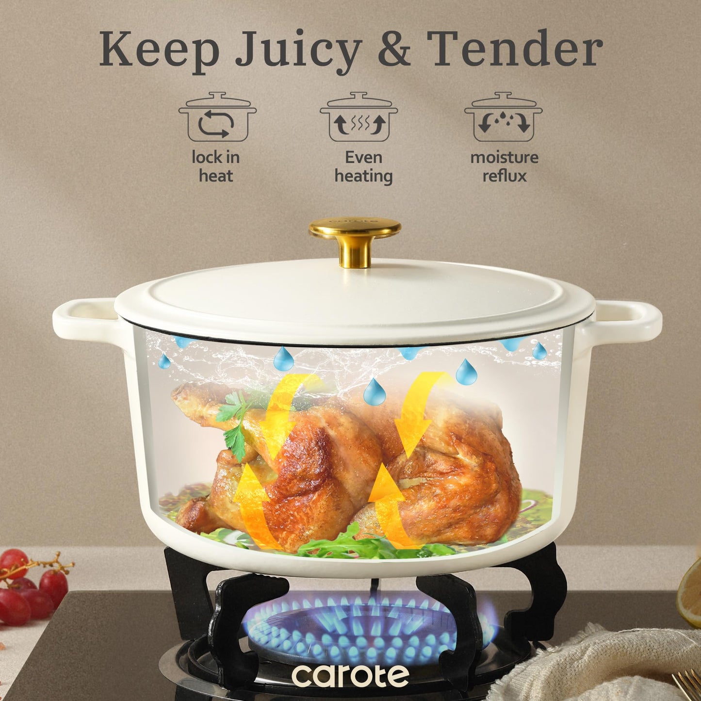 5QT CAROTE Enameled Cast Iron Dutch Oven Pot