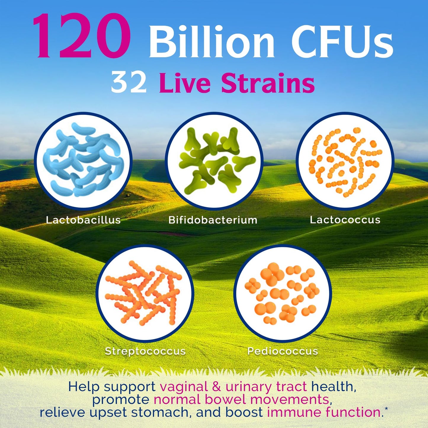 Women’s Probiotics 120 Billion CFU Innate Vitality