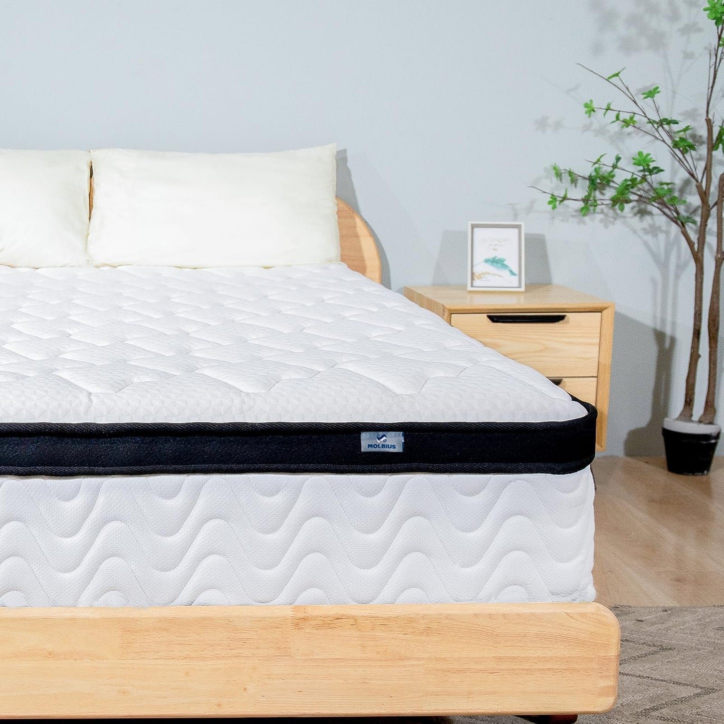 10 Inch Hybrid Full Mattress by MOLBIUS