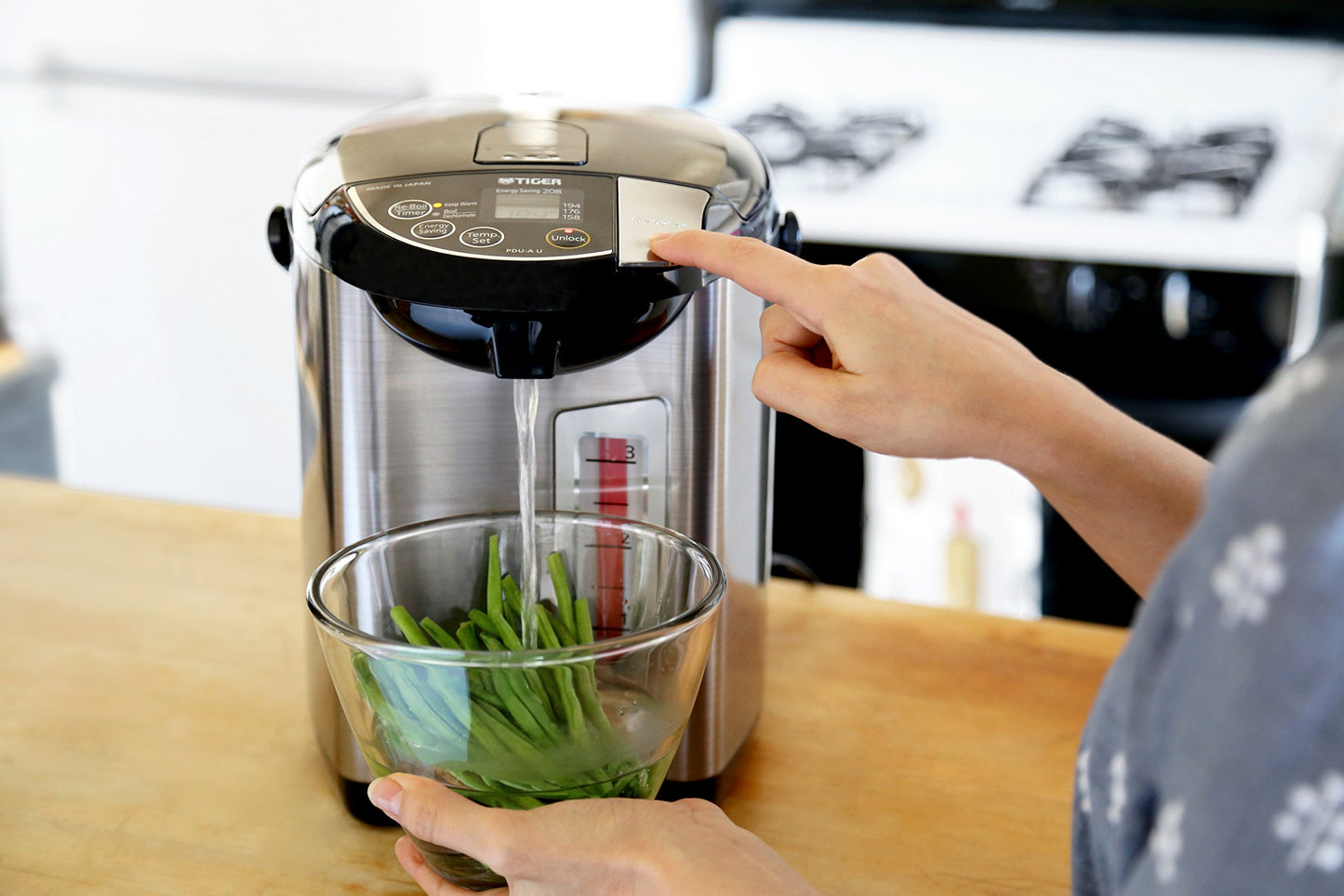 5.0-Liter Tiger Electric Water Boiler and Warmer