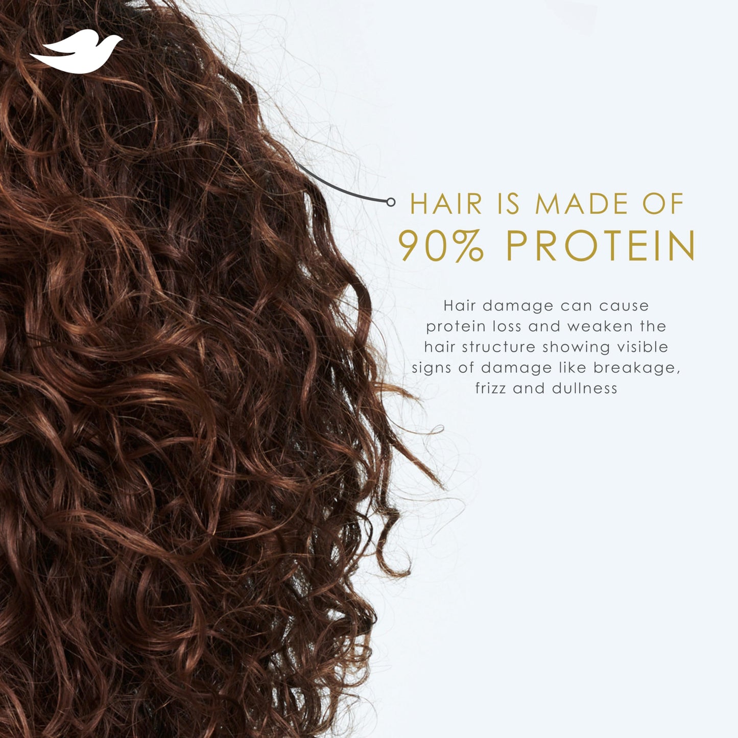 Dove Scalp Relief Shampoo with Coconut Oil