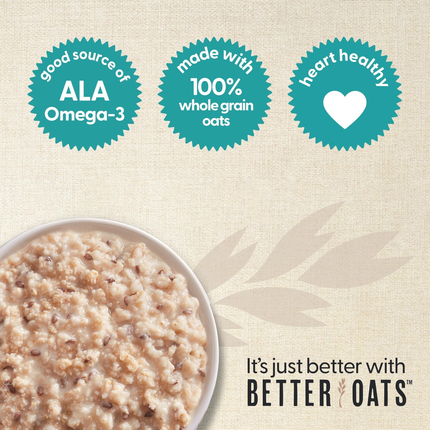 10 Pack Better Oats Apples Cinnamon Oatmeal