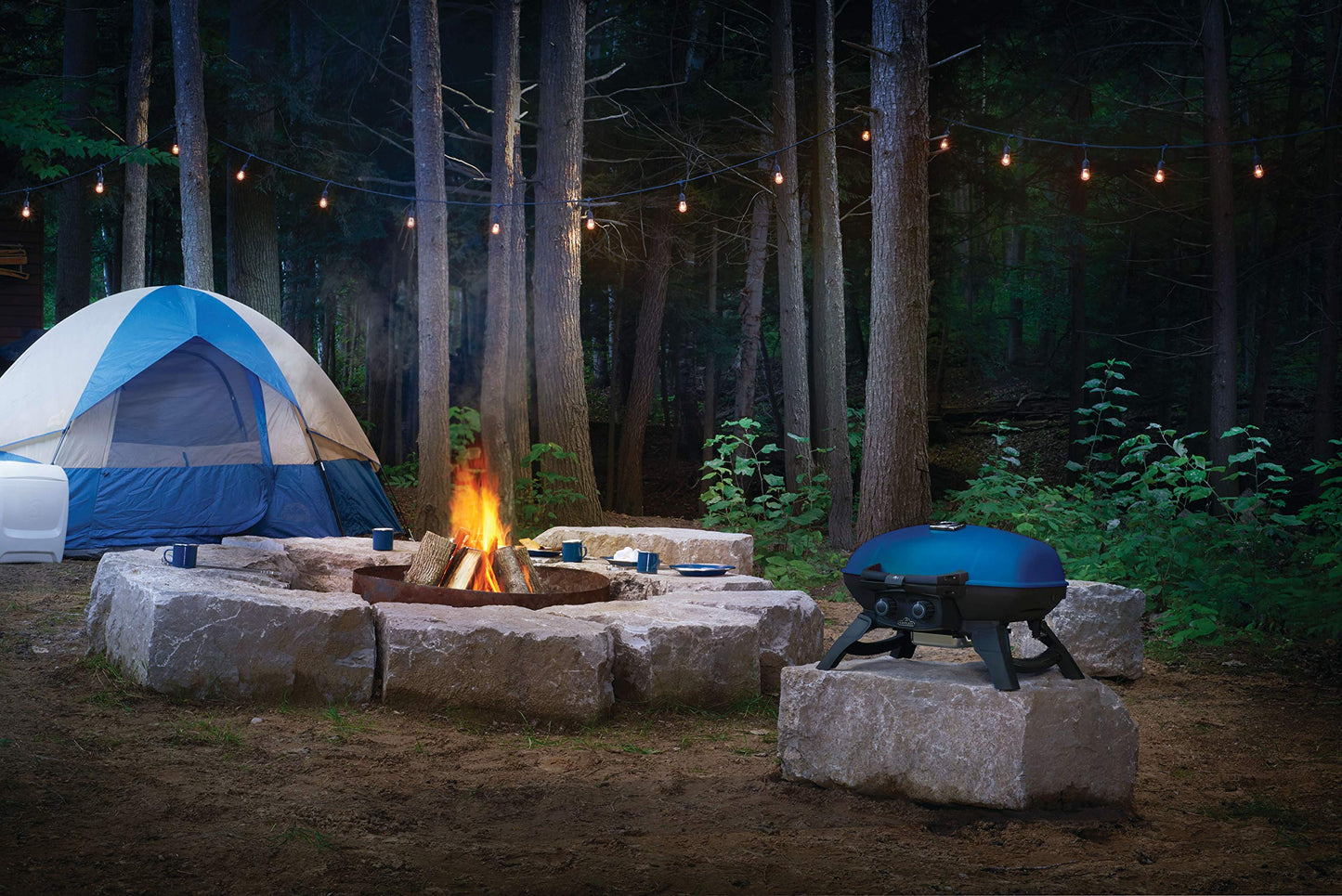 Napoleon Portable Propane Gas Grill for Camping