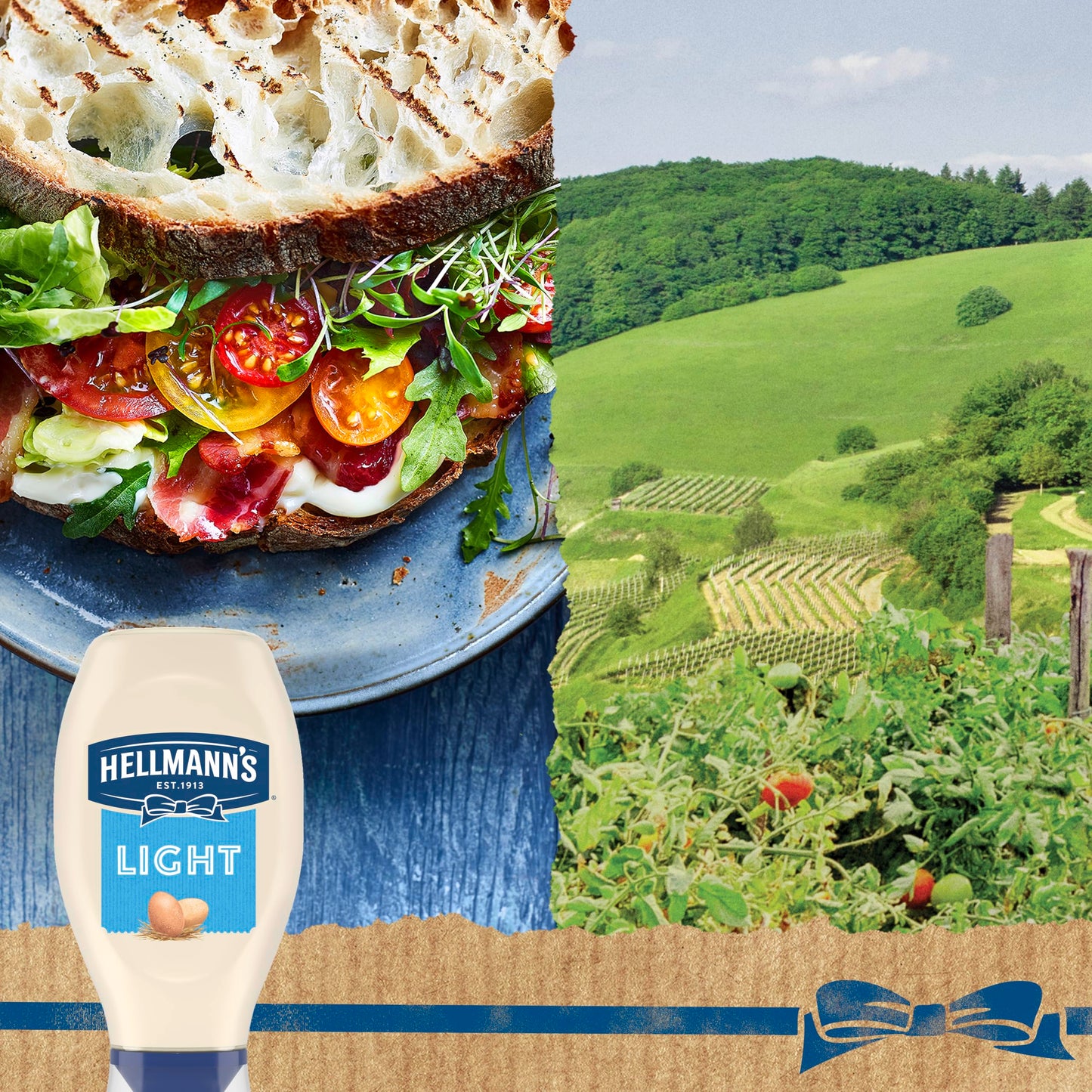 Hellmann's Light Mayonnaise Squeeze Bottle 20 oz