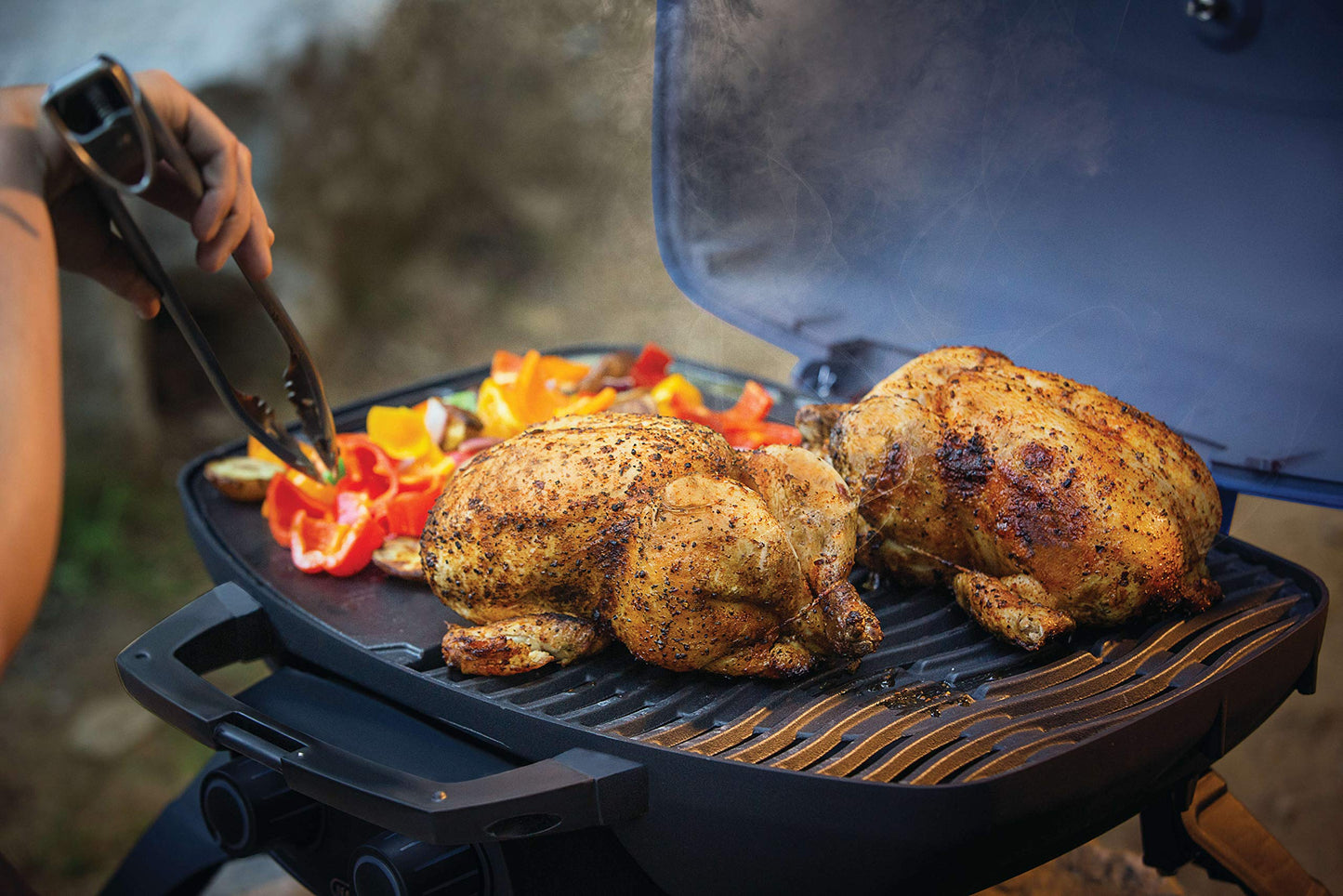 Napoleon Portable Propane Gas Grill for Camping