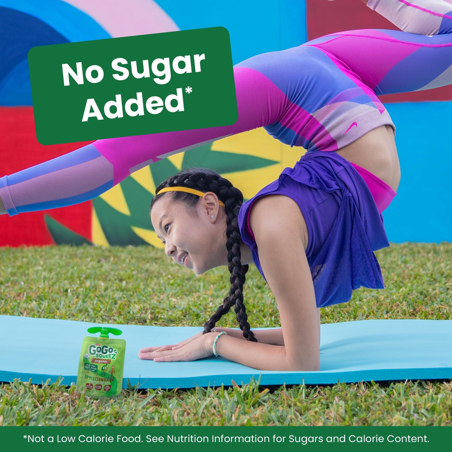 GoGo squeeZ Organic Applesauce and Fruit Puree